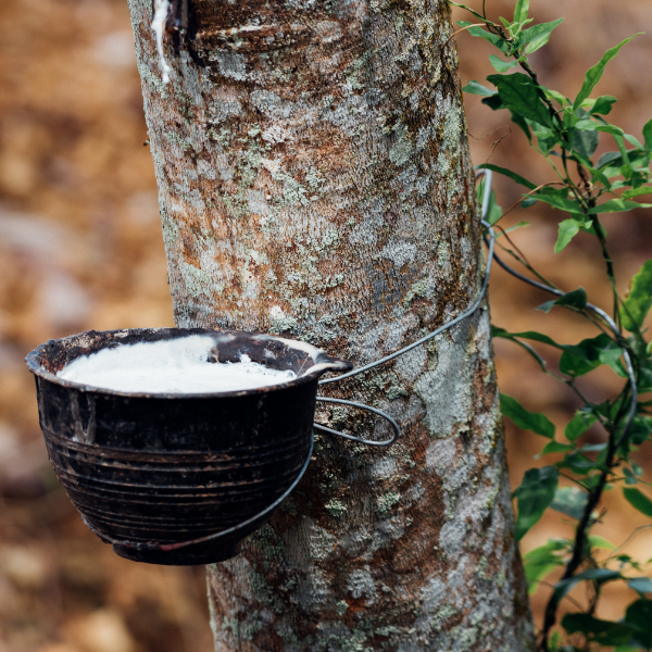 Resin hot sale rubber sole